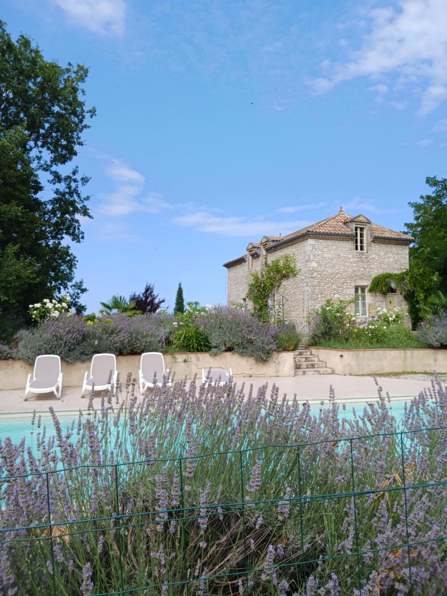 La Maison Forte Bed & Breakfast Montaut  Bagian luar foto