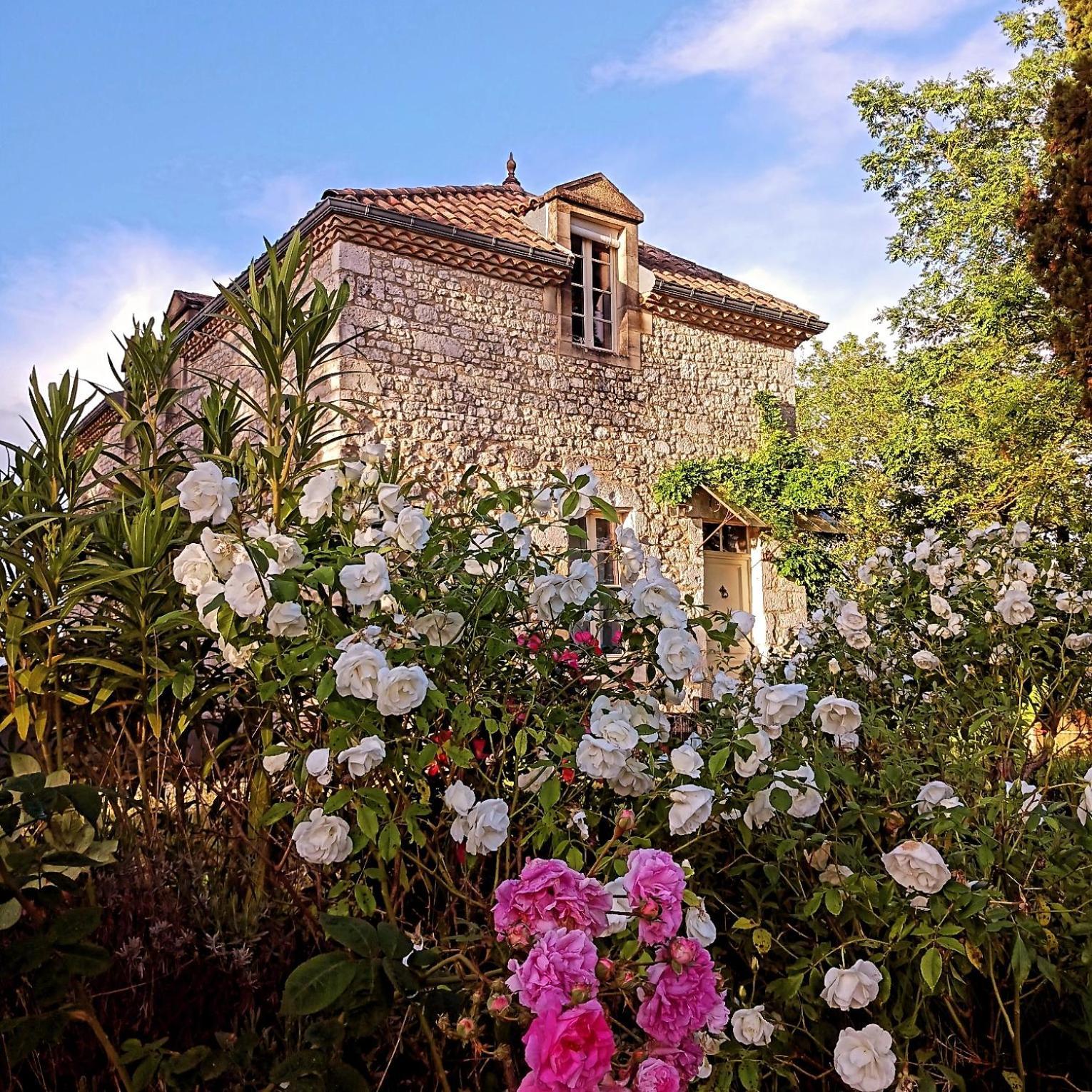 La Maison Forte Bed & Breakfast Montaut  Bagian luar foto